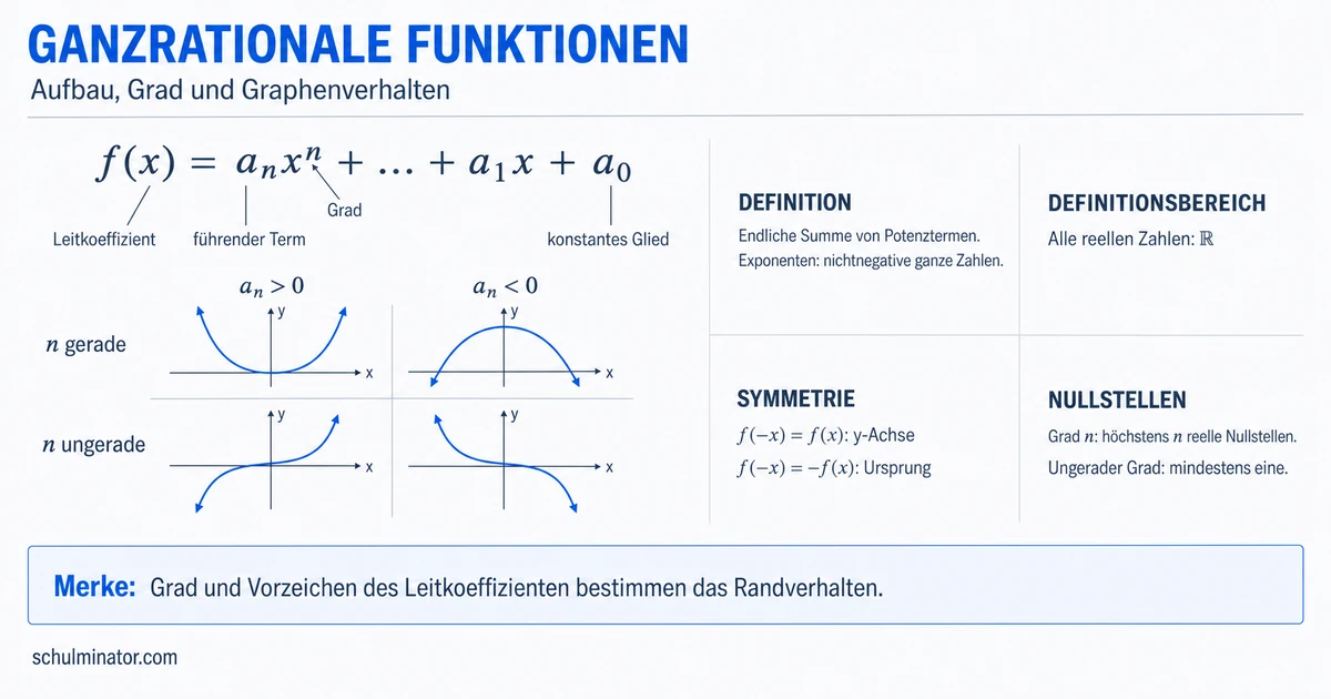 Ganzrationale Funktionen erkennen und untersuchen