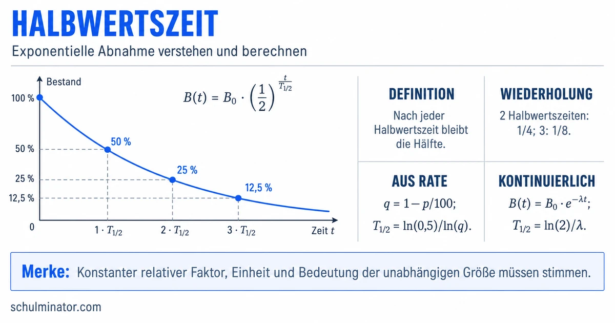 Halbwertszeit berechnen: Formeln und Beispiele