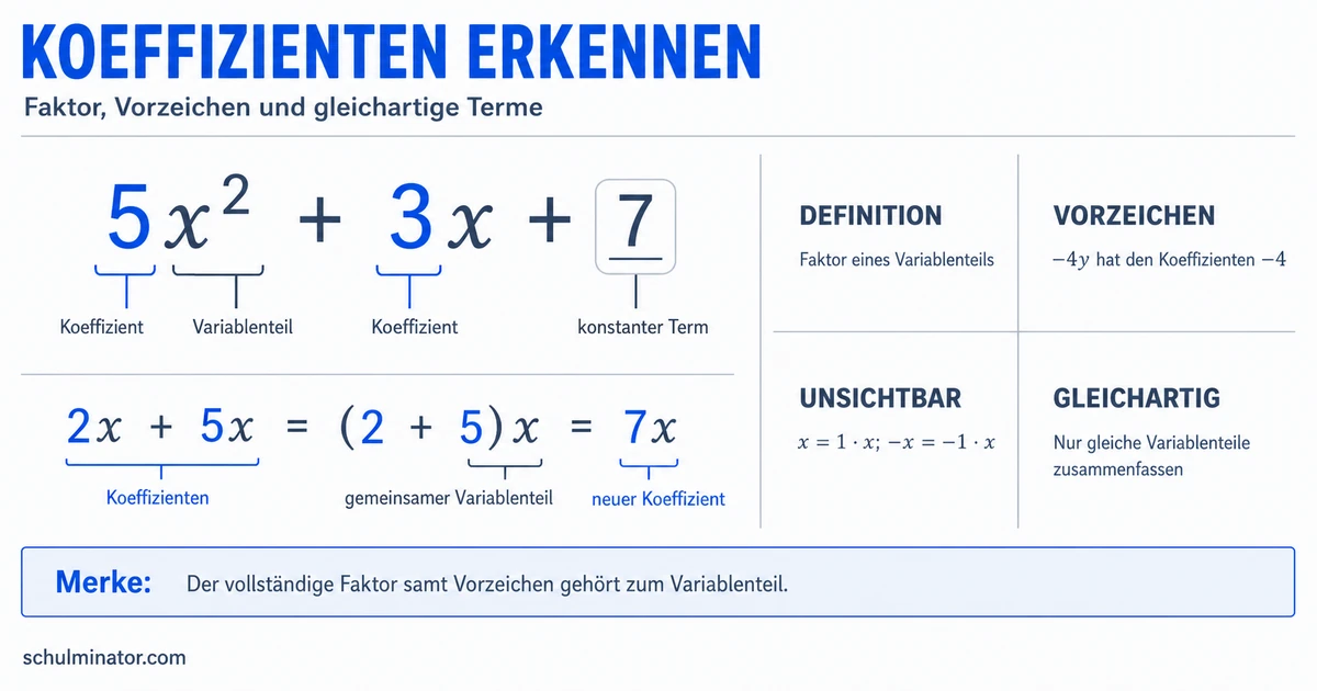 Koeffizienten erkennen und richtig verwenden