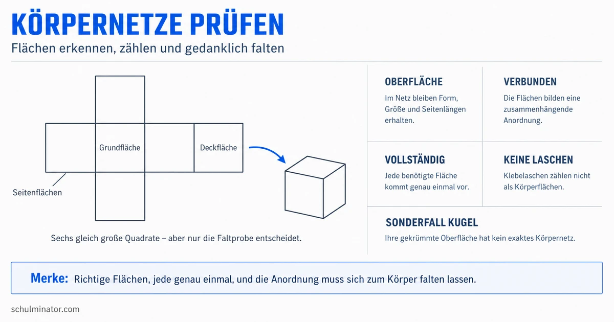 Körpernetze verstehen und richtig prüfen