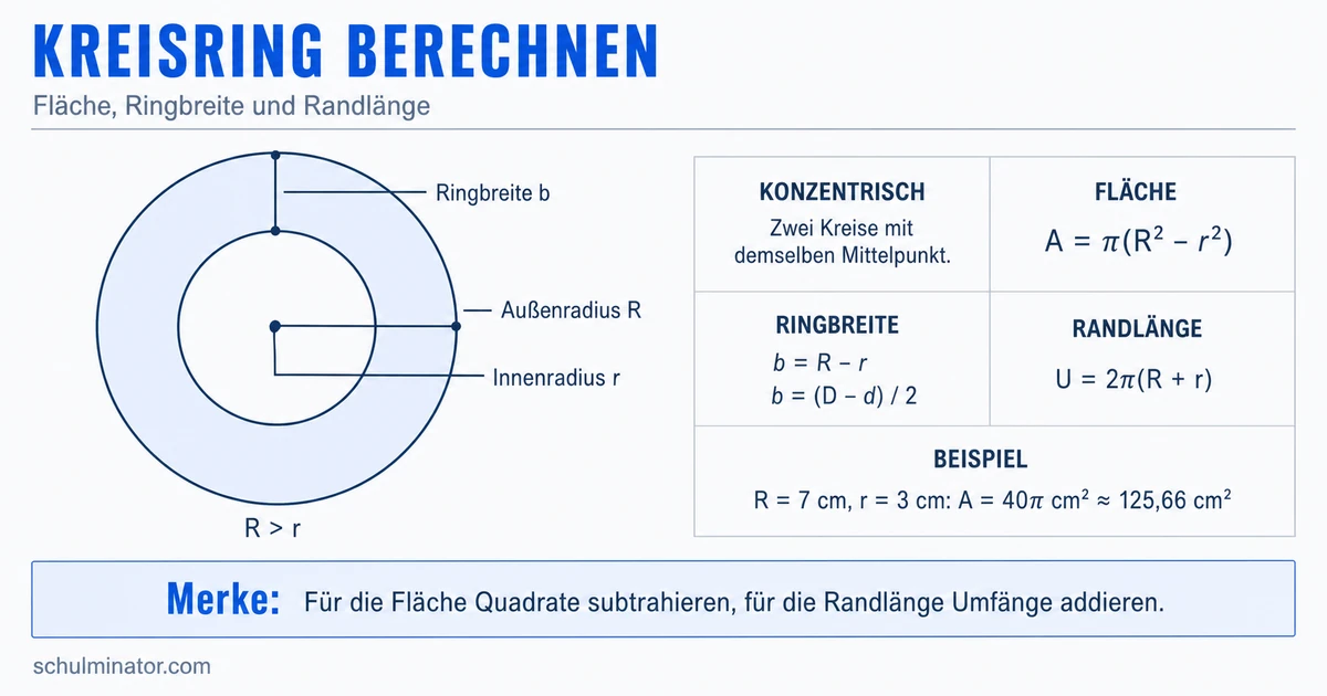 Kreisring berechnen: Fläche, Breite und Rand