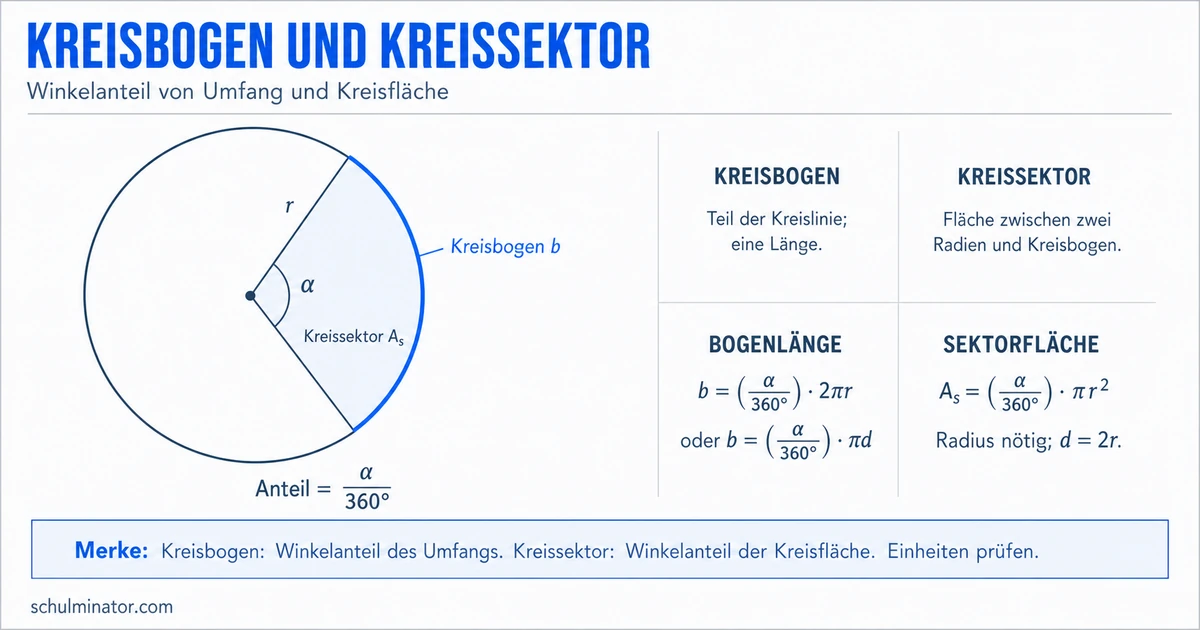 Kreissektor und Kreisbogen berechnen