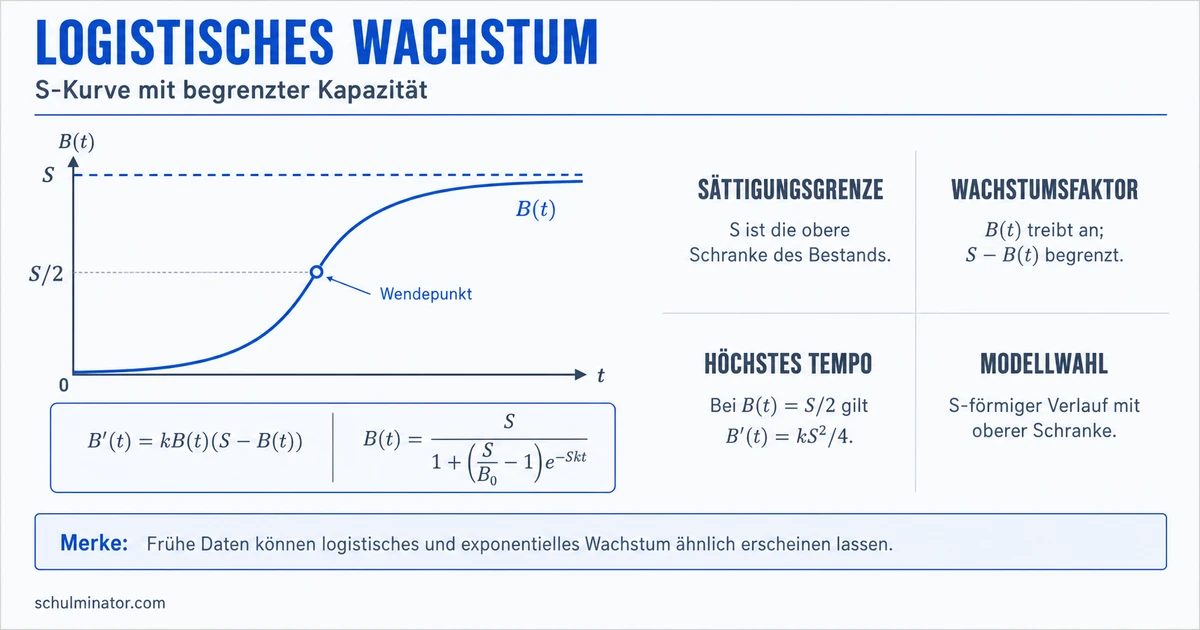 Logistisches Wachstum verstehen und modellieren