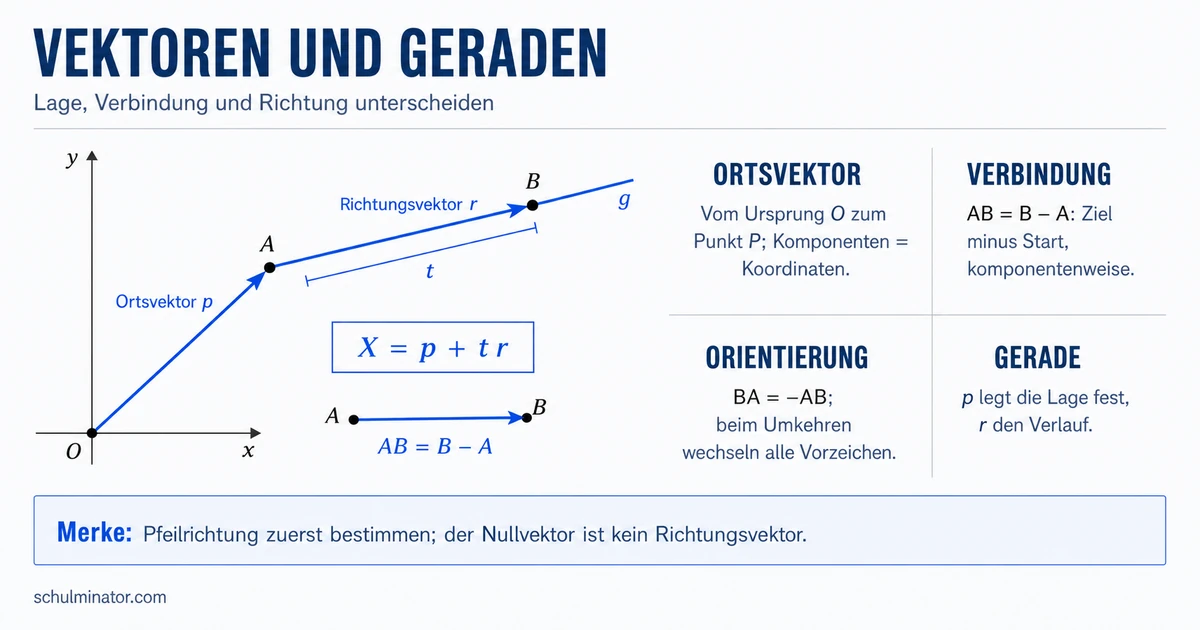 Ortsvektor und Richtungsvektor einfach erklärt