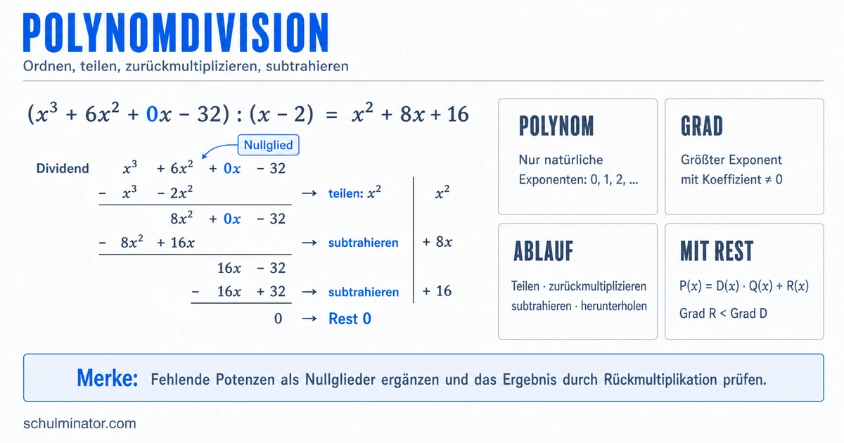 Polynom einfach erklärt: Grad und Polynomdivision