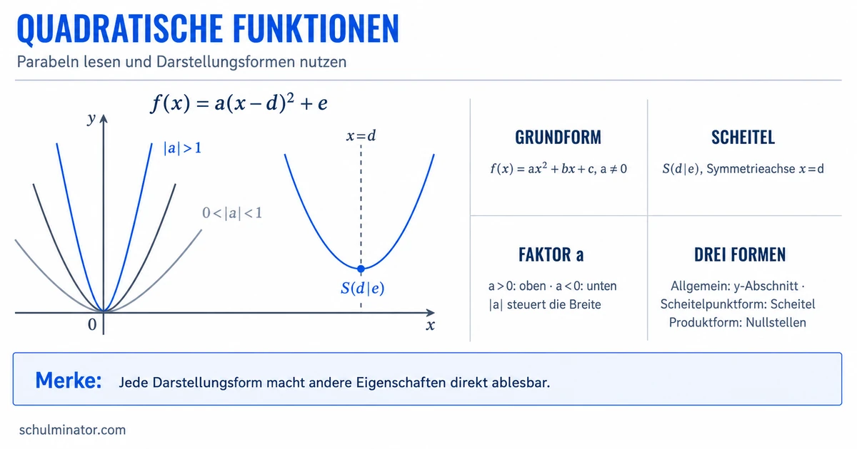 Quadratische Funktionen und Parabeln verstehen