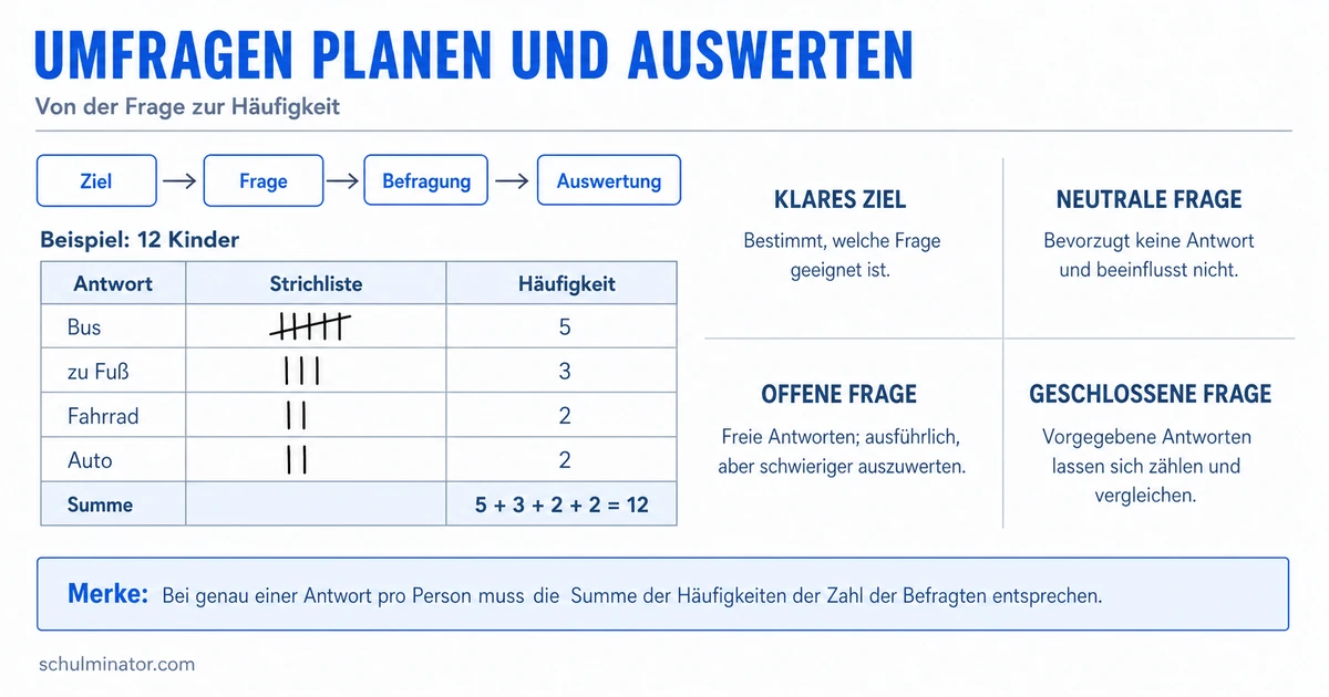 Umfrage planen und auswerten – einfach erklärt