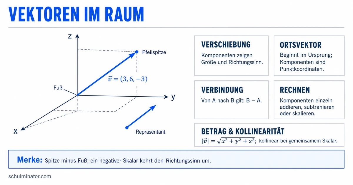 Vektoren einfach erklärt: Rechnen im Raum