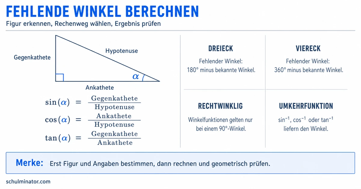 Winkel berechnen: Dreieck, Viereck und Sinus
