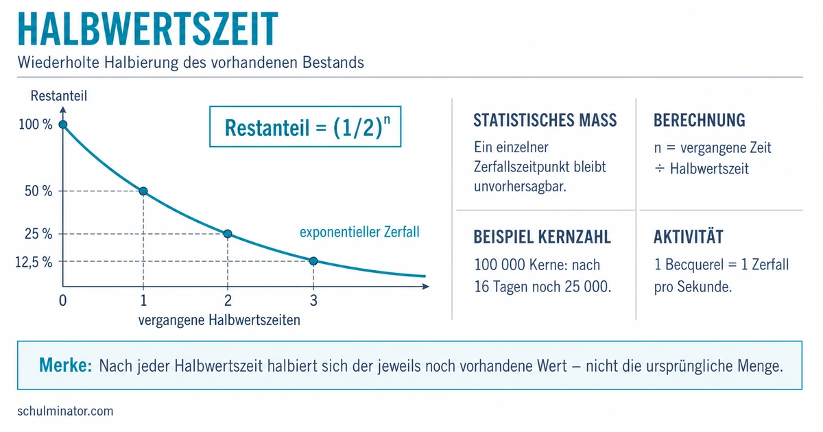 Halbwertszeit verstehen und berechnen