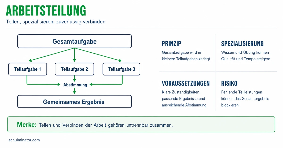 Arbeitsteilung einfach erklärt: Chancen und Risiken