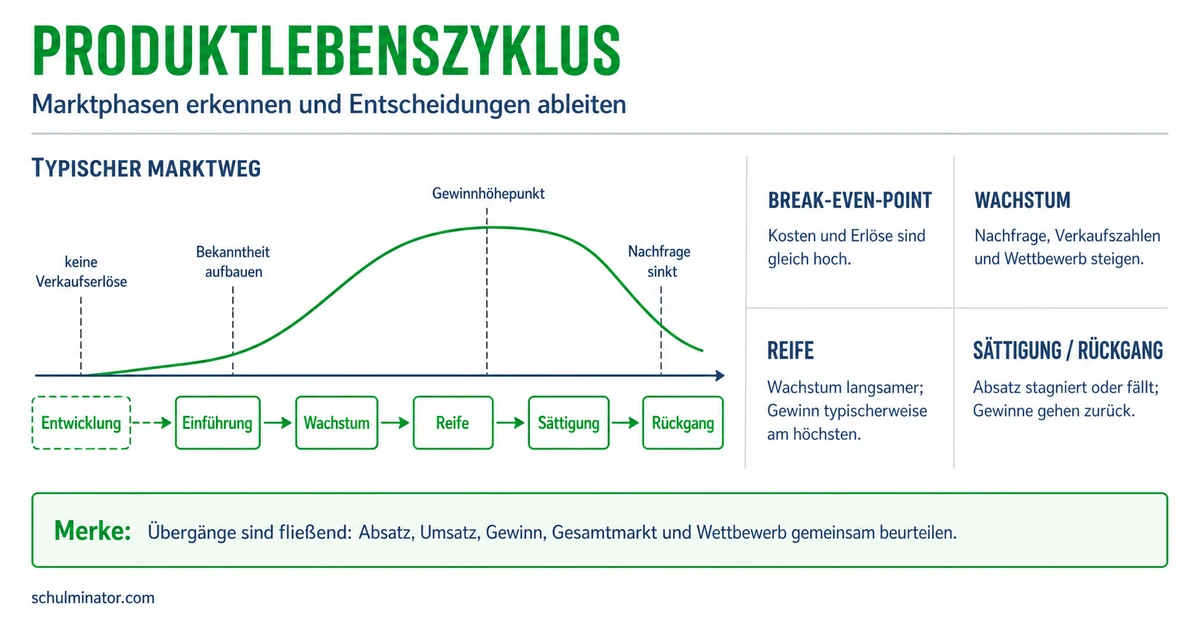 Produktlebenszyklus: Phasen einfach erklärt